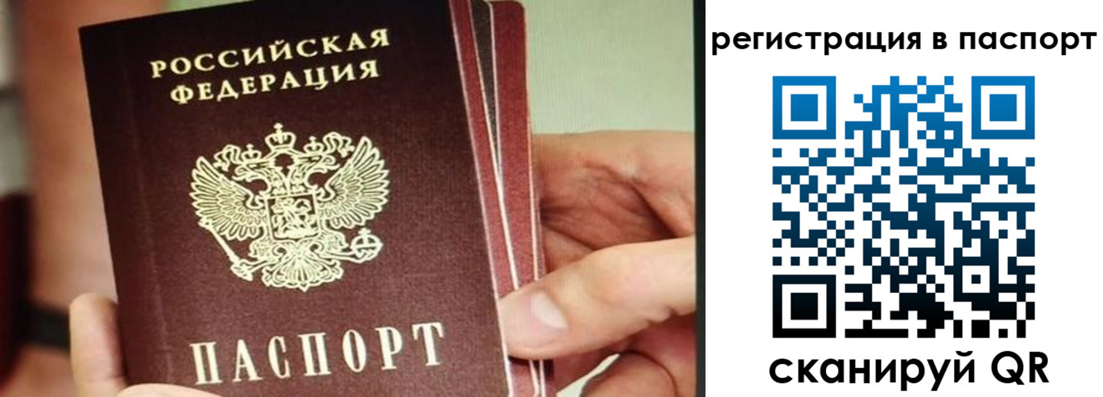 временная регистрация надежно в Зеленогорске